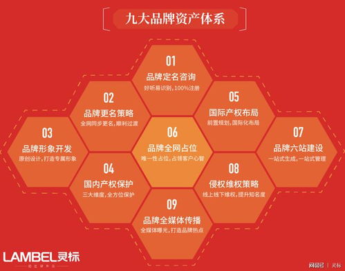 青青國際攜手國際品牌管理機構，為參展企業注入全球品牌新動力